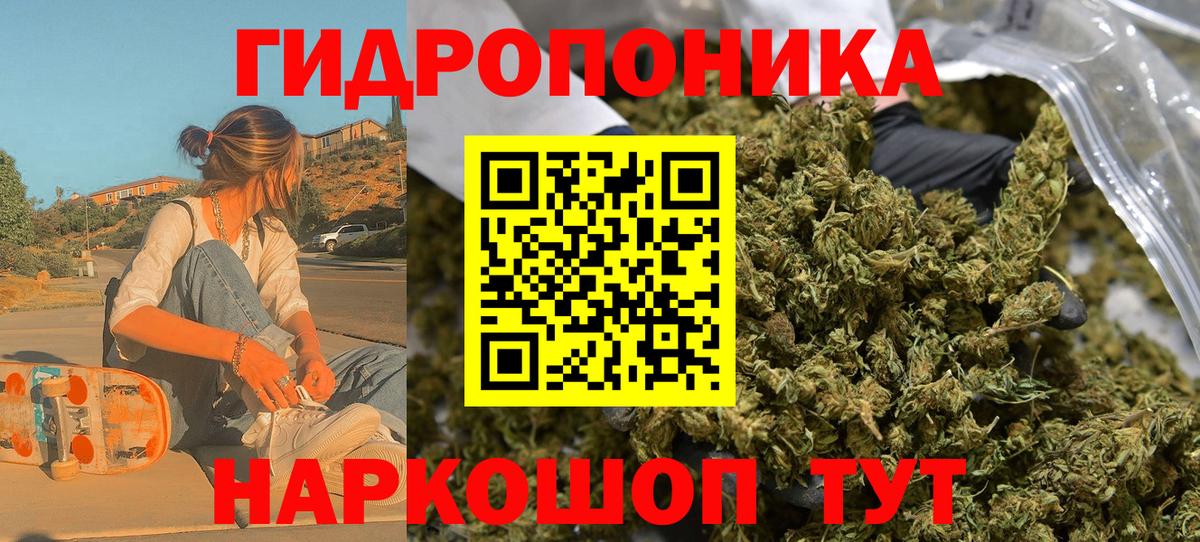 МАРИХУАНА план Тайшет